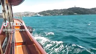 Turkey lovers