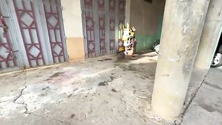 The stray cats woke up and said good morning to me, knowing that I had brought them food.