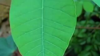 Ketika langit berbicara tentang keindahan alam