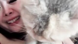 Refleksi in cat