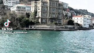 Turkey lovers