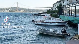 Turkey lovers