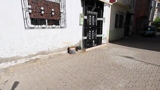 Two friendly tuxedo cats wait patiently at the door for a treat from the owner.