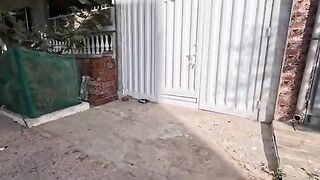 Mama cat tells her kittens that food is coming every time she sees us.