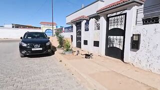 Even in front of the houses of the rich there are stray cats that are very hungry.