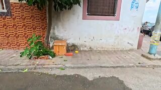 Even if we gave her a wooden house in the past, Mama Cat would not try to trust us.
