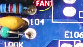 The Secret Language of