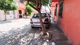 The magic word was enough to gather a lot of stray cats around us.