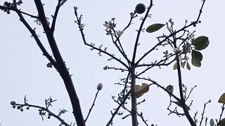 পড়ন্ত সন্ধ্যায় প্রকৃতির রূপ আসলেই অতভুত