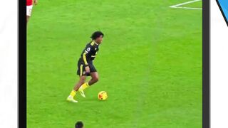 Bruno bola begininya