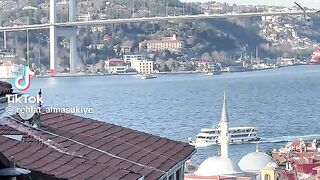 Turkey lovers