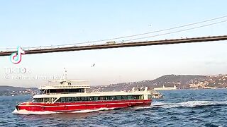 Turkey lovers