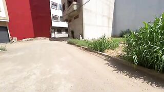 Mama cat was telling her kittens to follow her and wait for food from the lady.