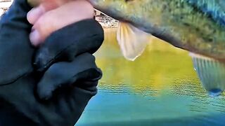 When the Rod Is Still, the Mind Keeps Moving