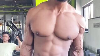 Arms + Back Workout