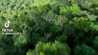 Amazon rainforest