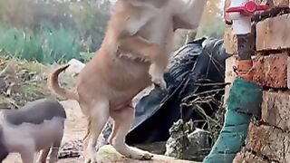 FUNNY MOMENT ????????