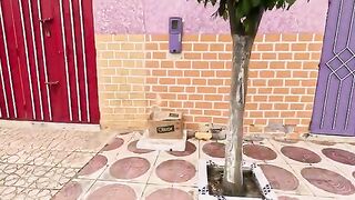 Mama cat has very sweet kittens and they were very cute and hungry.