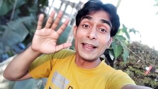 Exploring the Vast Ocean: Sea Adventure