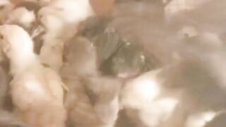 The chicken children