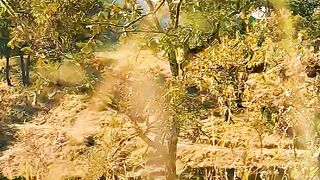 A Couple's Park Date Turns