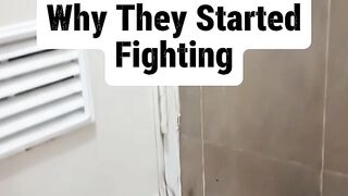 Why They Started Fighting