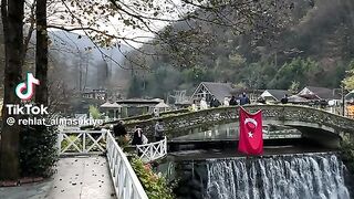 Turkey lovers