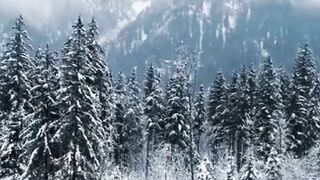 Beautiful nature