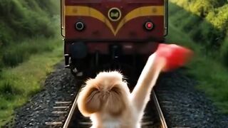 Little puppy risked his life to save the train from