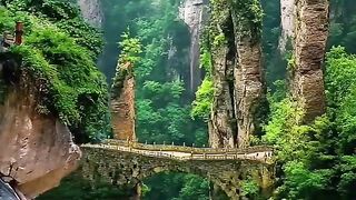 Mind-Blowing Science Facts About the Amazon Rainforest | Nature's Green Lungs