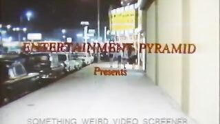 The Black Alley Cats (1973)
