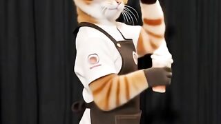 CAT DANCE MOMOYO