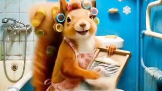 funny animals
