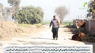 Bean Bola Mahman – Hasne Ke Liye Tayyar Ho Jao! ???? 2026