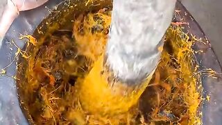 Comment préparer sauce graine avec poissons frais et la pâte de maïs ???? _food _artculinaire _cooking(