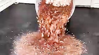 ????Guess how much is a floor made of 300,000 coins worth? #money #homeideas #satisfying #viral