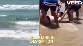 Full Videos portal zacarias orelha cachorro foto portal zacarias tubarao