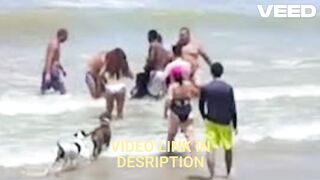 [Clip] ataque tubarao Olinda Videos portal zacarias orelha cachorro foto portal zacarias tubarao