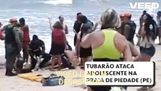 Ver video portal zacarias orelha Florianopolis portal zacarias ataque de tubarão
