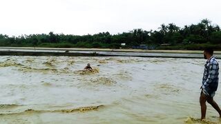 Flood Water Flowing in the River