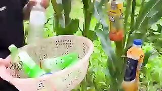 How do Chinese farmers protect their corn?#foryou #interesting #farmer #corn #mouse #rat