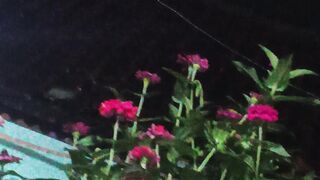 Hari hari yang cepat