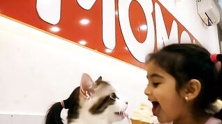 Momoyo ice cream