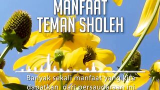 MANFAAT TEMAN SHOLEH!