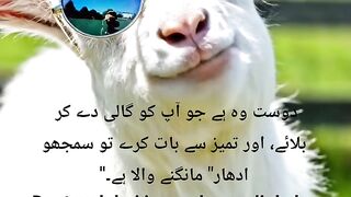 Urdu Quotes || motivation Quotes ll Aqwal ll poetry shayari #quotes​ #shotrs​ #urdunovels​ #trending​