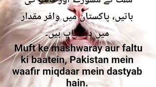 Urdu Quotes || motivation Quotes ll Aqwal ll poetry shayari #quotes​ #shotrs​ #urdunovels​ #trending​