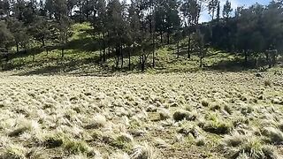Bersama teman teman mendaki gunung Lawu