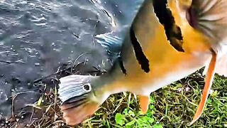 Not Everything We Wait For Comes Today