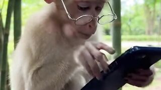 user-UIwK1Lz4pSQgSEj4ajarHkVs_gen_01kgaqh2pcf10a4qktj78y8e7h.mp4