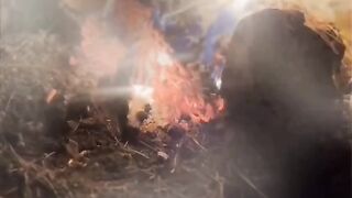 The atmosphere outside at midnight is excellent.